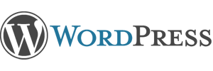 Wordpress hjælp